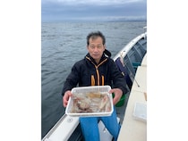 【釣果速報】神奈川県佐円丸でマルイカが絶好調！36cmの良型も上がってます！チャンスの多い今、ぜひ乗船を！