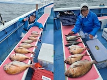 【釣果速報】神奈川県成銀丸でマダイフィーバー！最大2.50kgの良型も浮上！？好調の今、ぜひ乗船予約を！
