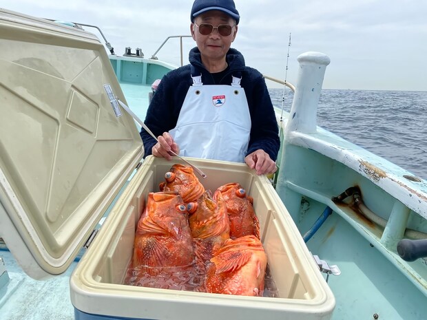 【釣果速報】静岡県久寿丸で良型カサゴが一日中釣れる！今後ますますサイズアップが見込めるもようで期待大！