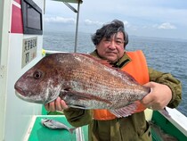 【釣果速報】神奈川県大松丸で5.20kgの大マダイ出た！連日安打継続中の今が乗りドキ！乗船するなら今でしょ！