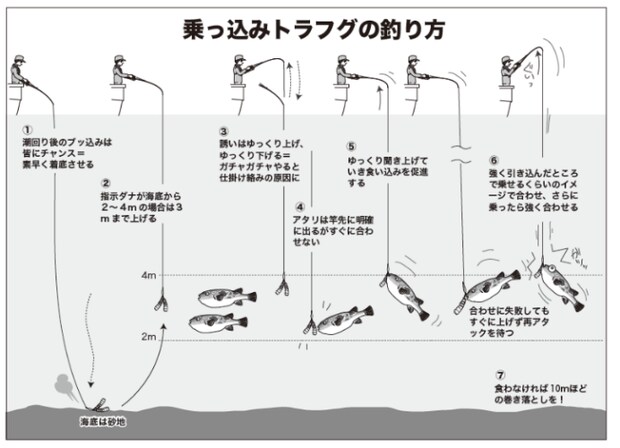 乗っ込みトラフグの釣り方