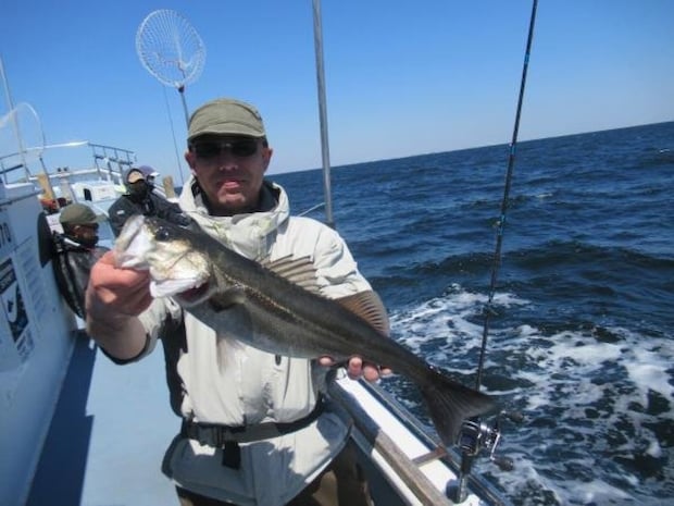 【釣果速報】シーバス竿頭21匹!MAXサイズ67cm!神奈川県長崎屋ならランカーバスゲットも夢じゃない!