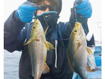 待ってました大イサキ！ 洲ノ崎沖で快釣スタート