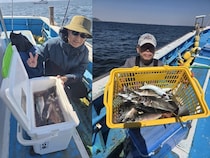 【釣果速報】アジ釣りで堅実に数伸ばし竿頭53匹達成！最大40cmと型も文句なしの好釣果！神奈川県ちがさき丸は良型アジの宝庫！？