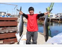 【釣果速報】兵庫県魚英でサワラゲット！最大101cm！引きも味も最高のサワラを今すぐ狙いに行って！