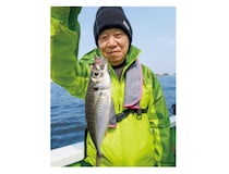 船釣り入門におすすめ湾奥のライトアジ好調