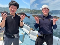 【釣果速報】静岡県安菜丸でイサキ＆カイワリ好調！トップは20匹の好釣果！今後の釣行にも乞うご期待！
