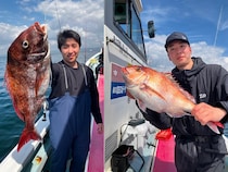 【釣果速報】神奈川県正海丸でマダイ乗り乗り！竿頭4匹ゲット！船長が厳選するポイントで記録更新マダイを釣ろう！