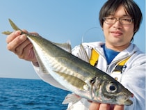 城ケ島沖で大アジ乱舞　マダイや青物、根魚が狙えるお楽しみも！