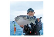 富浦沖に乗っ込み良型来襲トラフグを釣るなら今！