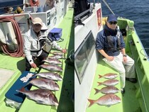 【釣果速報】神奈川県丸又丸でマダイ絶好調！イナダ・クロダイも！今後はますます楽しめる予感！