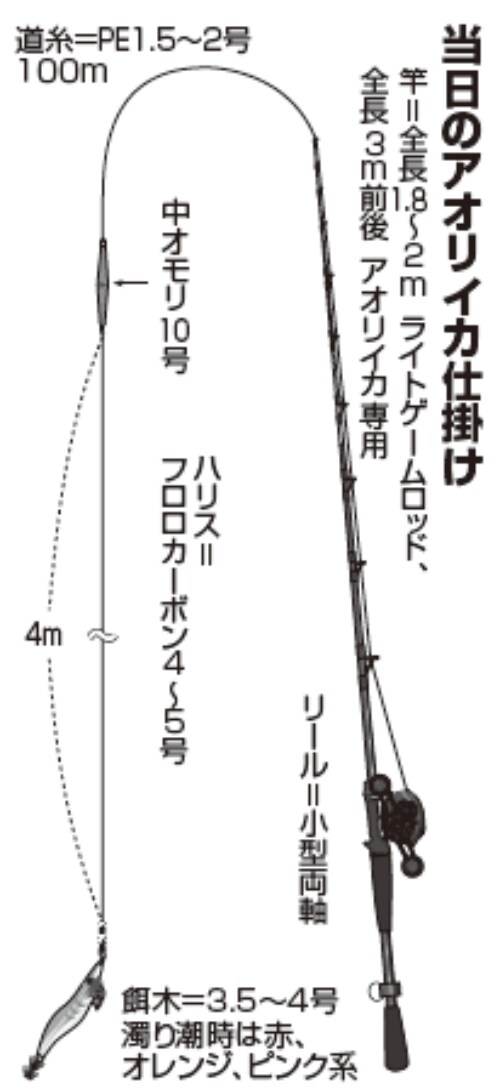 当日のアオリイカ仕掛け