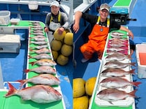 【釣果速報】神奈川県大松丸でマダイ全員ゲット＆竿頭16匹！活性上々で豪華なゲストが釣れる最高のシーズンに突入！