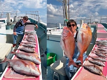 【釣果速報】神奈川県正海丸で4.30kgの大型マダイをキャッチ！イナダのアタリも好調！人気者を一気にゲットできるリレー船が今、大人気！