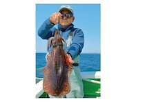 Bigサイズがジワジワ接近中春アオリ好期目前