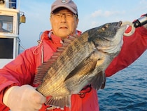 内房保田沖のLTタイ五目船でクロダイ激釣中！