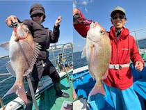 【釣果速報】兵庫県海連丸でマダイ好調！合計7匹！ゴールデンウイークは大物マダイを捕まえに行きませんか？