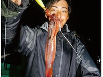 ファン待望の好シーズン　沼津沖の夜ムギイカ好発進
