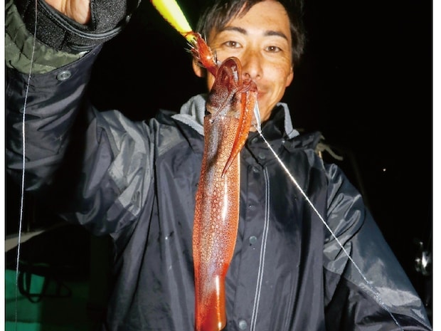 ファン待望の好シーズン　沼津沖の夜ムギイカ好発進