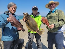 【釣果速報】神奈川県岩伊丸で2.50kgの良型ヒラメをキャッチ！マハタのアタリも好調！存分にファイトを楽しめる今が乗船どき！