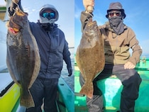 【釣果速報】神奈川県深田家で人気のヒラメ釣れた！あなたも深田家でヒラメを狙おう！