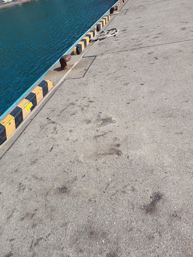 墨跡が残る漁港