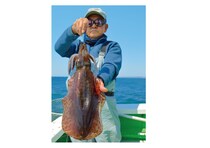 Bigサイズがジワジワ接近中春アオリ好期目前