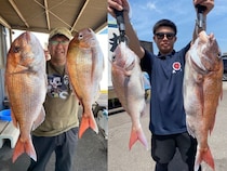 【釣果速報】茨城県大春丸で4.10kgマダイを筆頭にマダイが釣れまくり！船釣りデビュー戦を大物ゲットで飾りませんか？