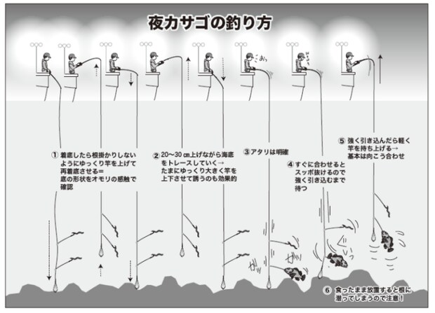 夜カサゴの釣り方
