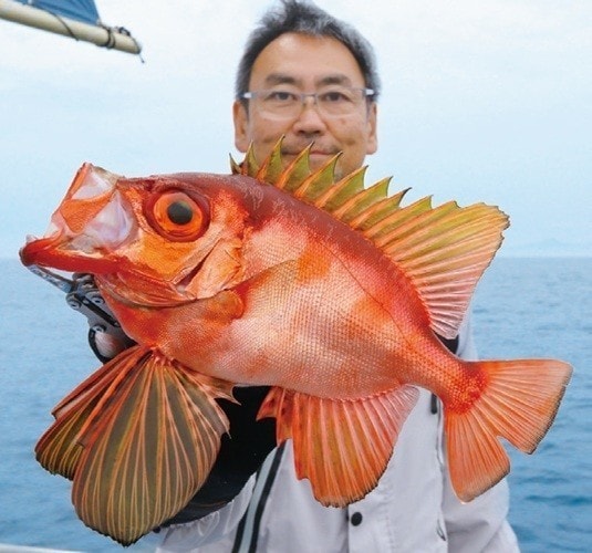 釣行の写真
