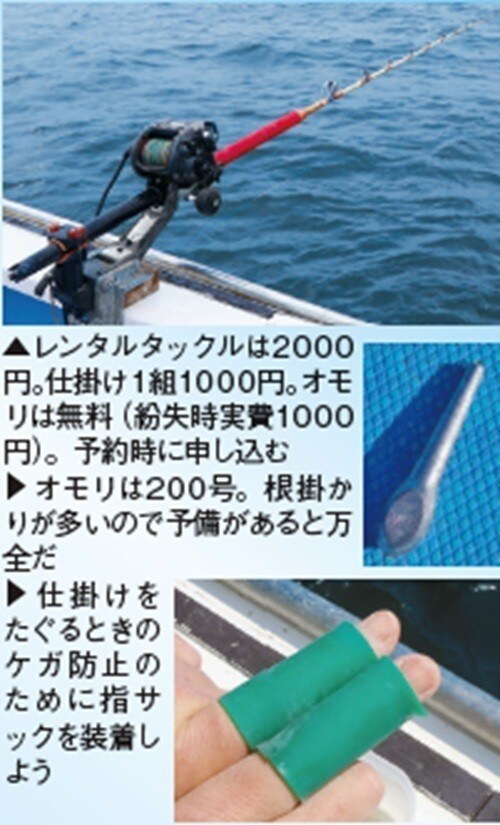 仕掛けの写真