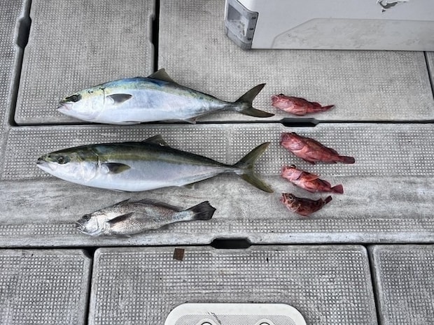 釣果