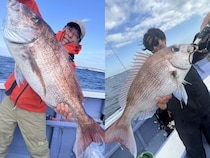 【釣果速報】千葉県新幸丸で4.80kgのど迫力マダイをキャッチ！ワラサ・イサキ・カサゴ・カンダイなども！あなたも大物マダイを捕まえに行きませんか？