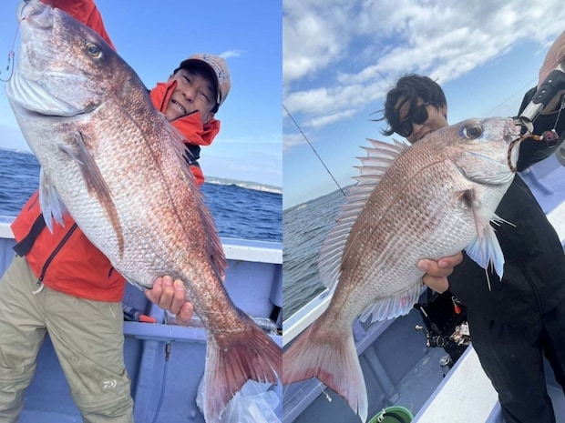 【釣果速報】千葉県新幸丸で4.80kgのど迫力マダイをキャッチ！ワラサ・イサキ・カサゴ・カンダイなども！あなたも大物マダイを捕まえに行きませんか？