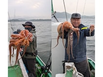 【釣果速報】千葉県フィッシュオン大勝でキロ級マダコのラッシュ到来！空前絶後のマダコウェーブに乗っかるなら今！