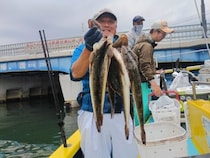 【釣果速報】神奈川県濱生丸で最大59cmのマゴチをキャッチ！今すぐ乗船してマゴチを釣り上げよう！