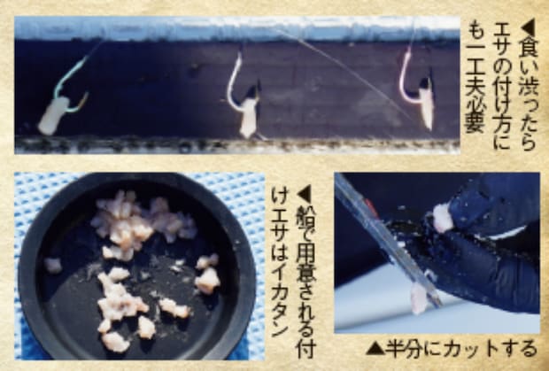 釣行の写真