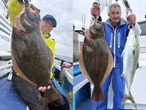 【釣果速報】千葉県第三松栄丸で5.33kgのデカヒラメGET！！さらなる大物を目指すなら船長のもとに集まれ！
