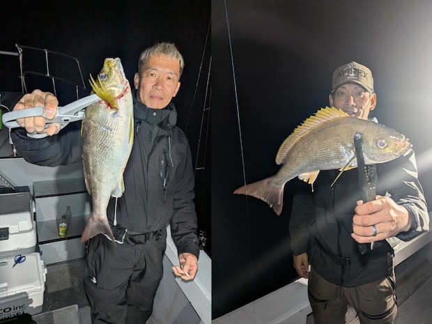 【釣果速報】和歌山県SevenSWellでイサギ入れ食い!アジ・ヒラスズキも!好調な今シーズン、自己最高記録を狙ってみませんか?