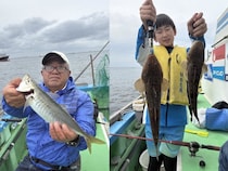【釣果速報】東京都船宿いわたで良型アジのアタリ続く！24cmのシロギスも！家族や友達との釣りにもおすすめのターゲットです！