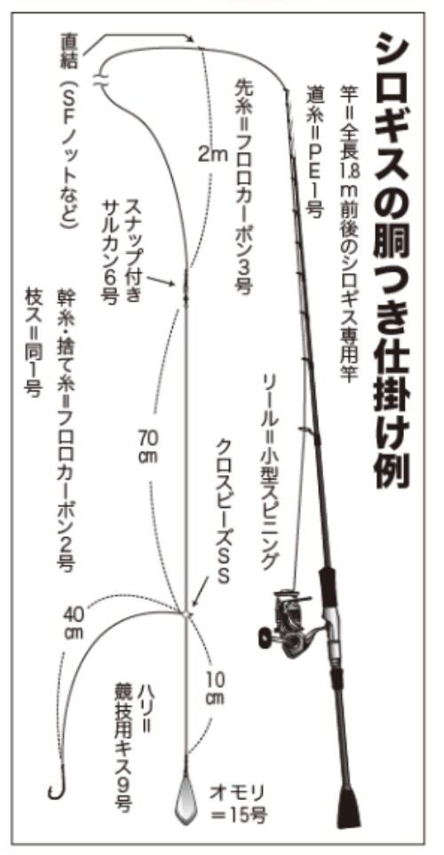 シロギスの胴つき仕掛け例