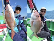 【釣果速報】千葉県優光丸でマダイ・カサゴ・ショウサイフグ・ハナダイと人気魚種続々ゲット！いろいろな魚との出会いを楽しみたい人は即予約を！