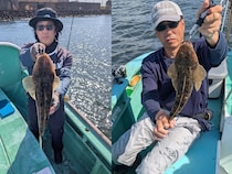 【釣果速報】東京都入舟で52cmマゴチを筆頭に大物が釣れまくり！頼れる船長のもとで憧れのターゲットを釣ろう！