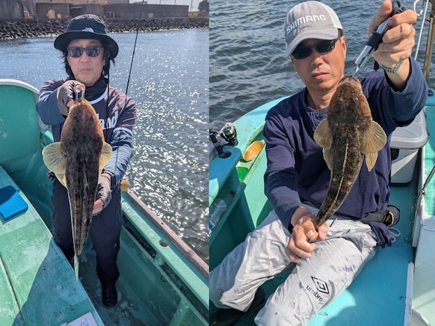 【釣果速報】東京都入舟で52cmマゴチを筆頭に大物が釣れまくり！頼れる船長のもとで憧れのターゲットを釣ろう！