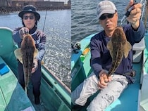 【釣果速報】東京都入舟で52cmマゴチを筆頭に大物が釣れまくり！頼れる船長のもとで憧れのターゲットを釣ろう！
