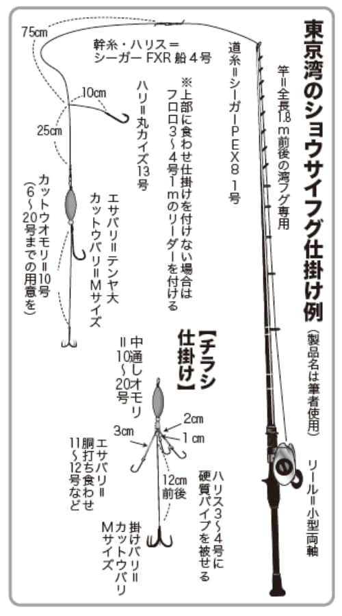 東京湾のショウサイフグ仕掛け例