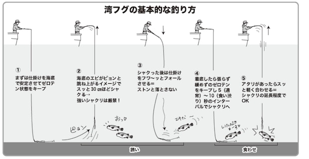 湾フグの基本的な釣り方