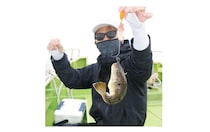 東京湾にショウサイあり初夏の湾フグ好期突入！