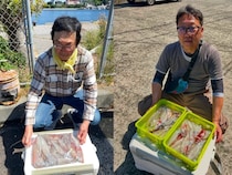【釣果速報】神奈川県佐円丸でマルイカ釣行が好調！竿頭は42匹ゲット！初夏の絶品マルイカを自分の手で釣り上げてみませんか？