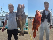 【釣果速報】千葉県政勝丸で3.50kgの良型アラゲット！豪快な引きをあなたも体感してみませんか？